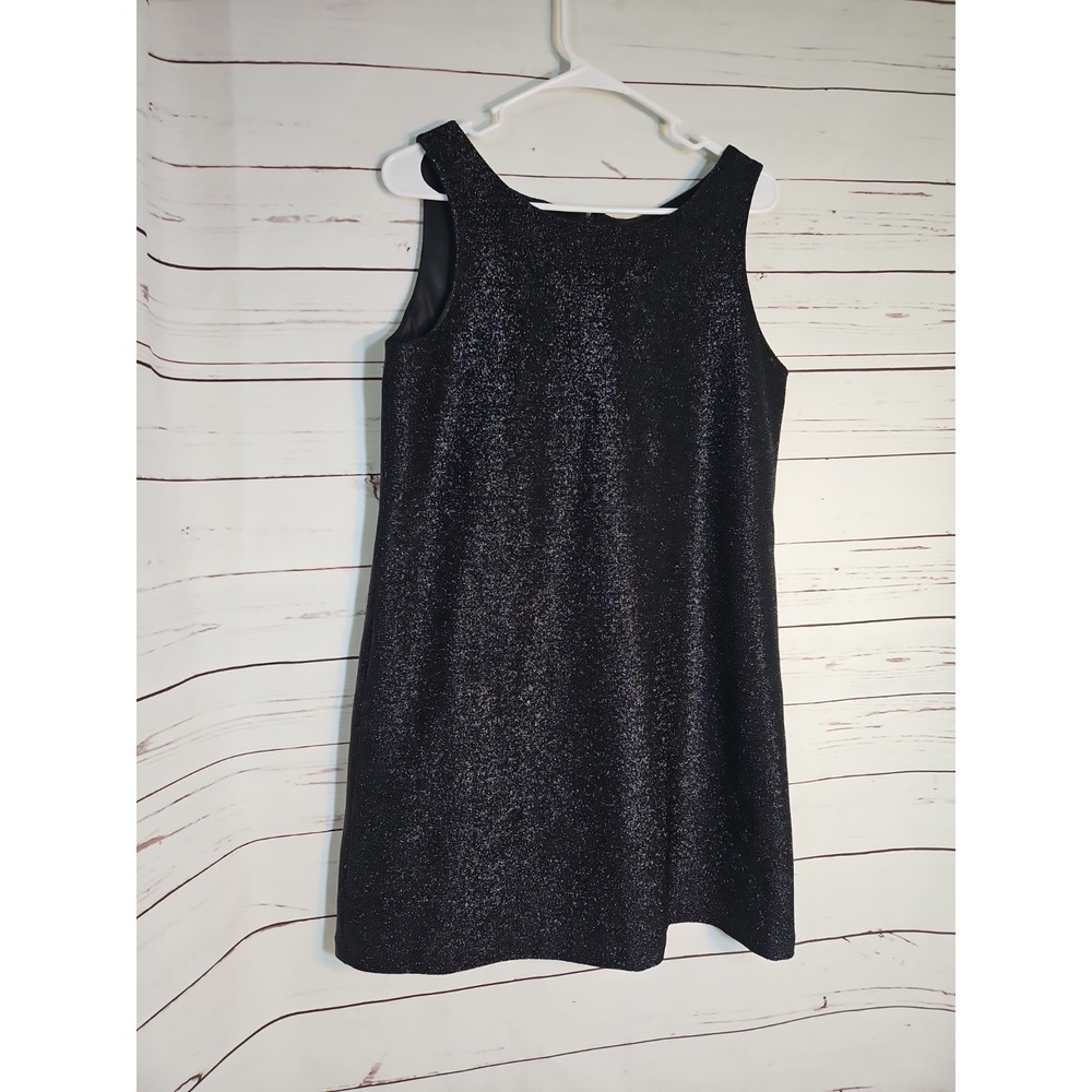 Moda International Black Shimmery Sleeveless Classic Dress